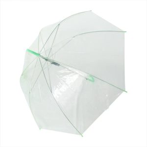 Sombrilla Translucida